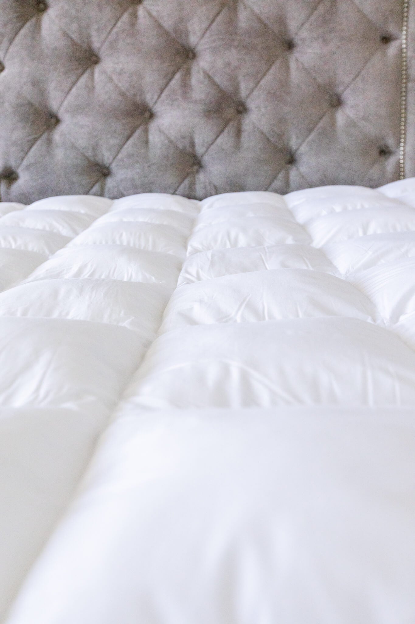 Call Me Down Bed - Quahog Bay Bedding