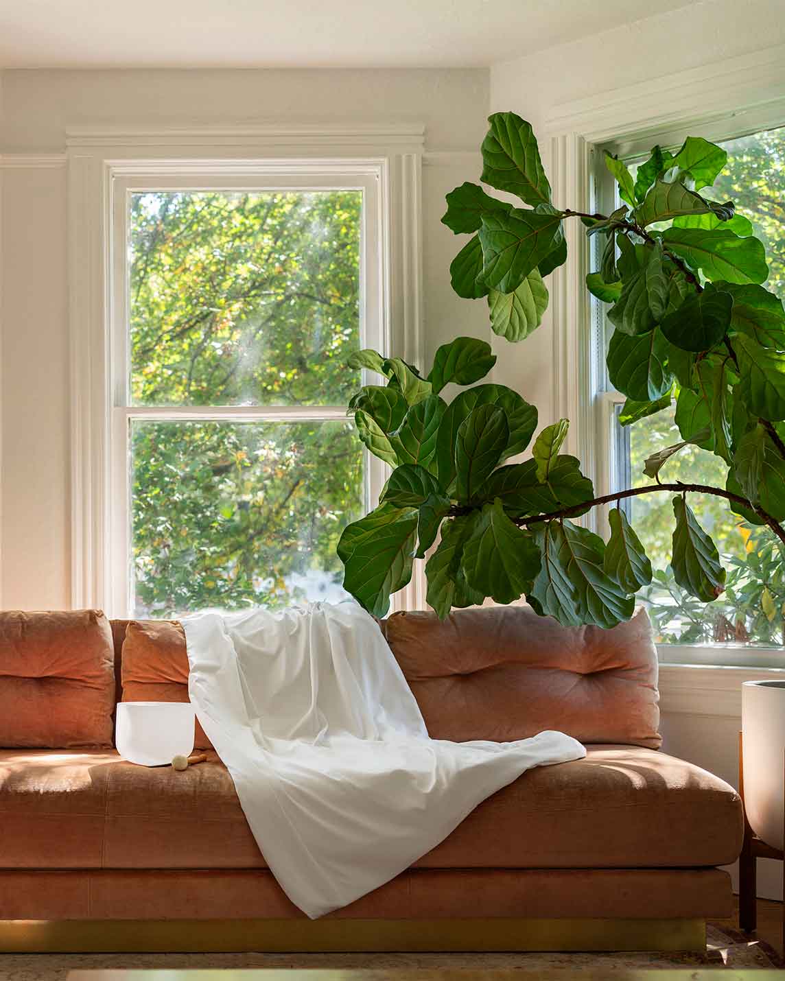 Cotton Duvet Cover For Weighted Blankets - Quahog Bay Bedding