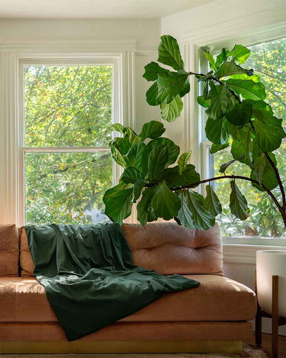 Cotton Duvet Cover For Weighted Blankets - Quahog Bay Bedding