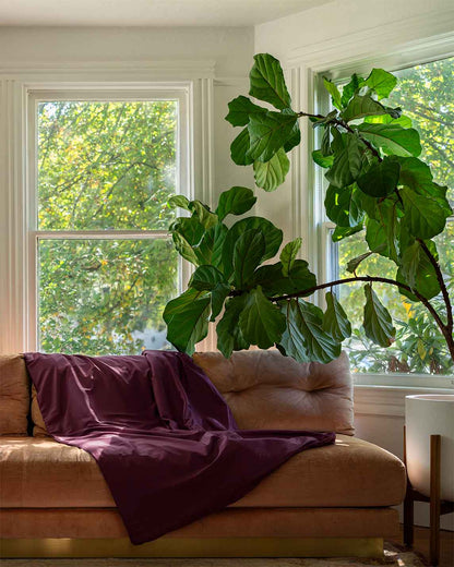 Cotton Duvet Cover For Weighted Blankets - Quahog Bay Bedding