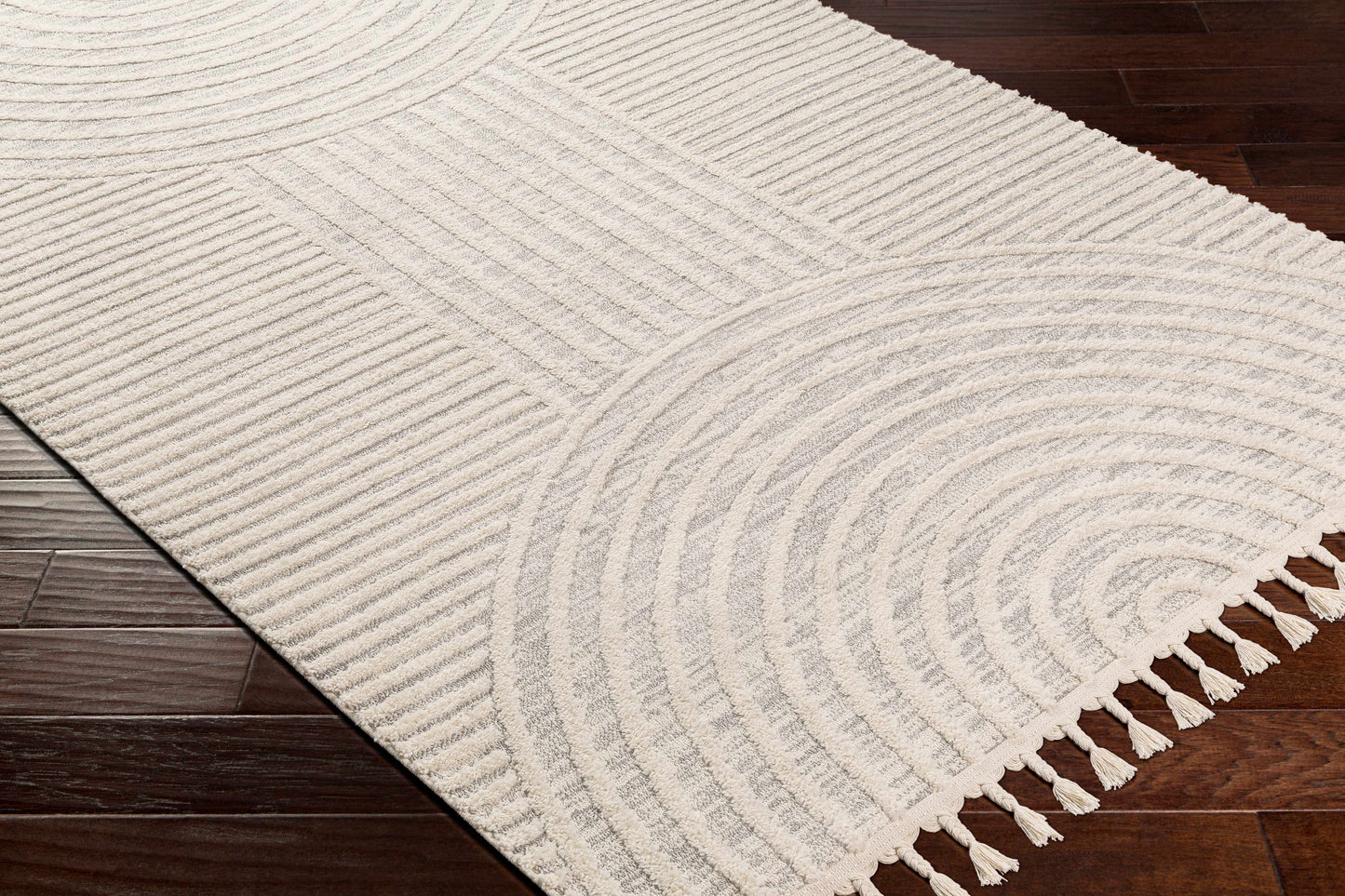 Dauin 3D Rainbow Area Rug with Tassels