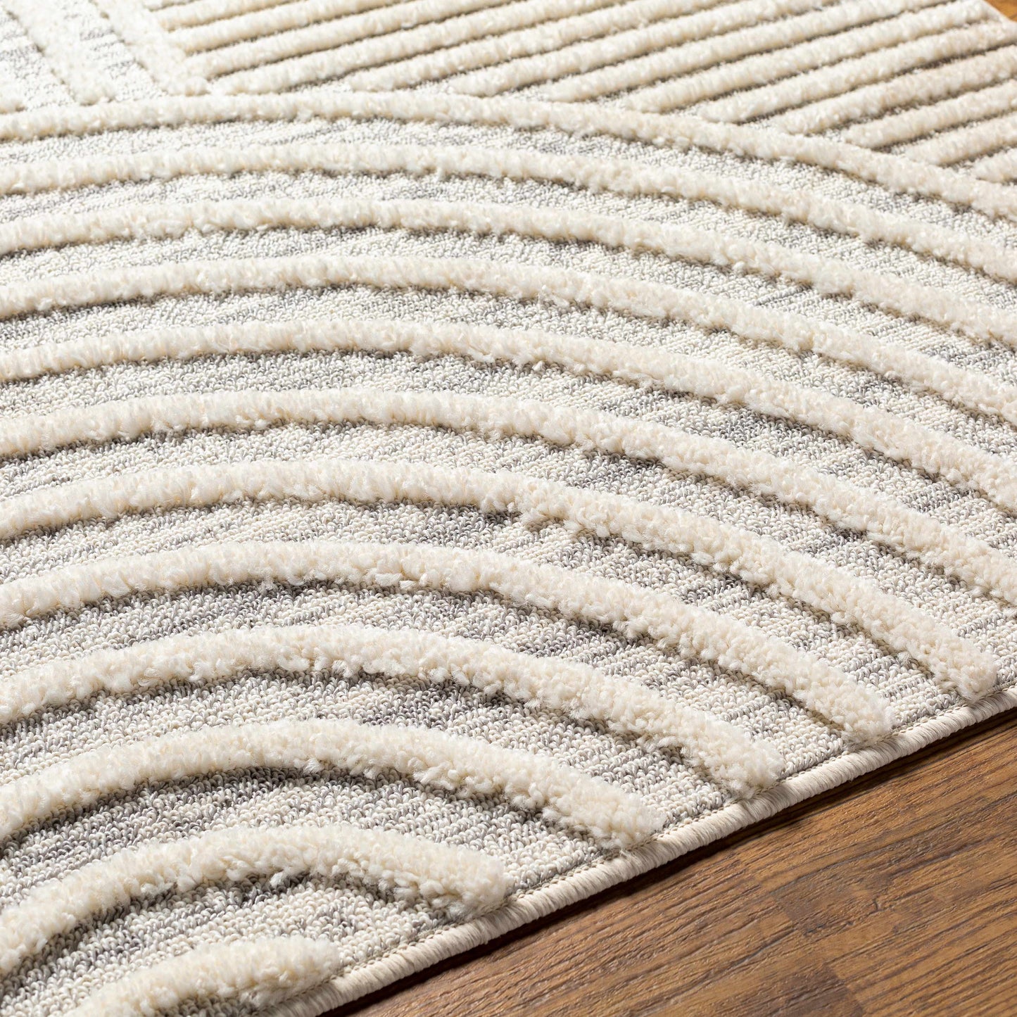 Dauin 3D Rainbow Area Rug with Tassels