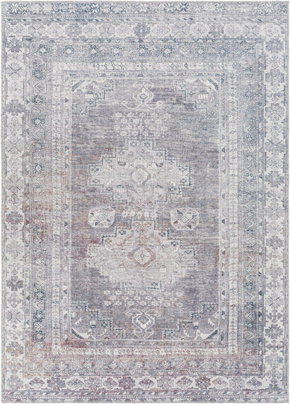 Baltinglass Gray Washable Area Rug - Limited Edition