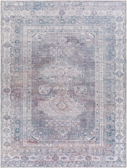 Baltinglass Gray Washable Area Rug - Limited Edition