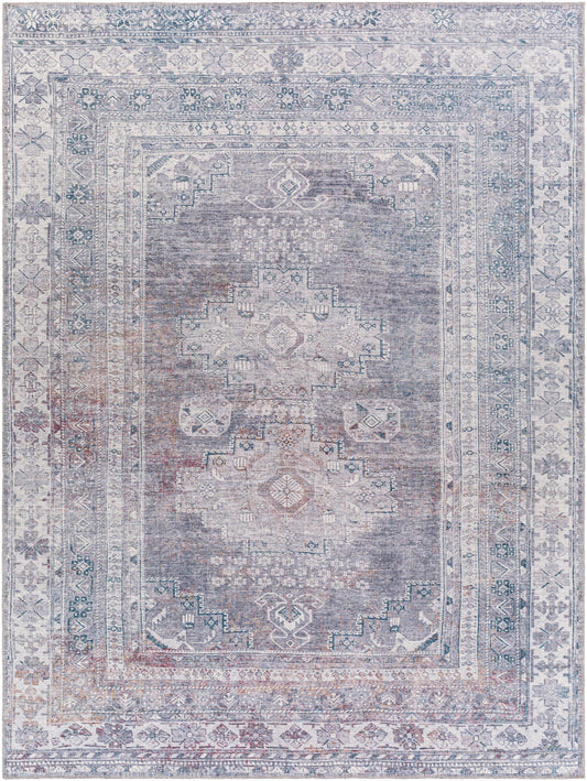 Baltinglass Gray Washable Area Rug - Limited Edition