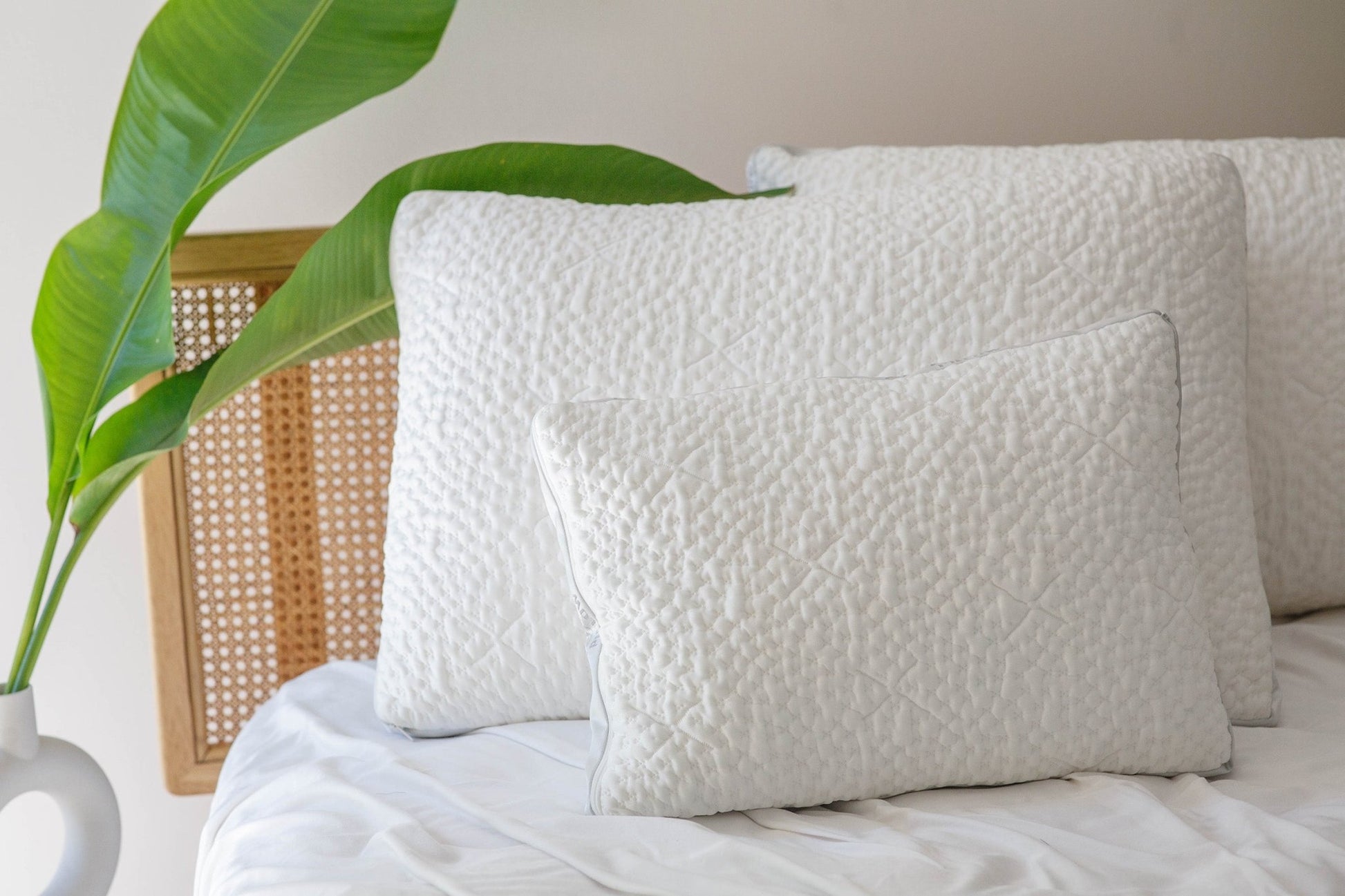 Easy Breather Jr. Pillow - Organic Sateen Junior Sized Pillow - Quahog Bay Bedding