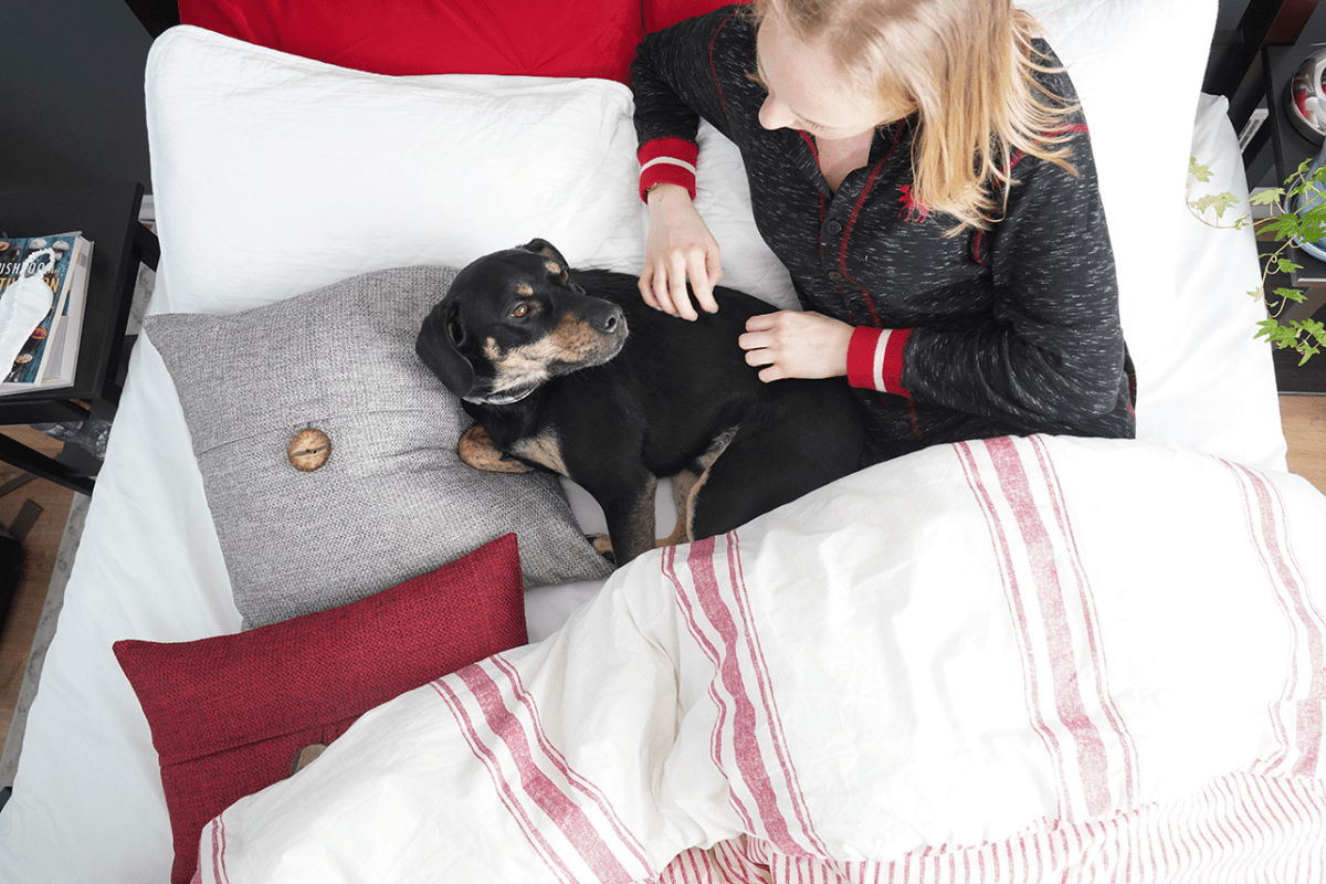 Farmhouse Stripe Reversible Comforter Set - Quahog Bay Bedding
