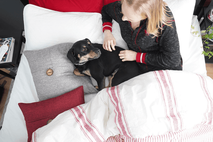 Farmhouse Stripe Reversible Comforter Set - Quahog Bay Bedding