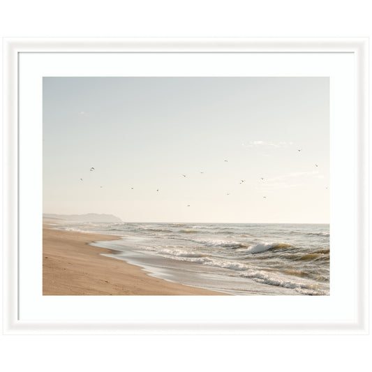 Framed Art Coastal Flight by Crystal Lynn Collins - Quahog Bay Bedding