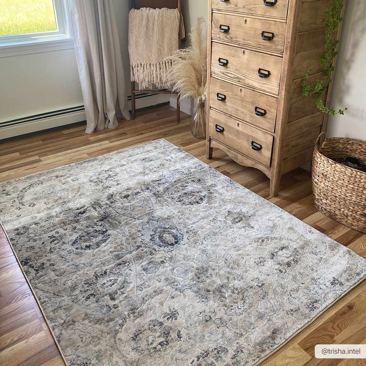 Georgiana Beige Area Rug - Medium Pile Rugs - Quahog Bay Bedding