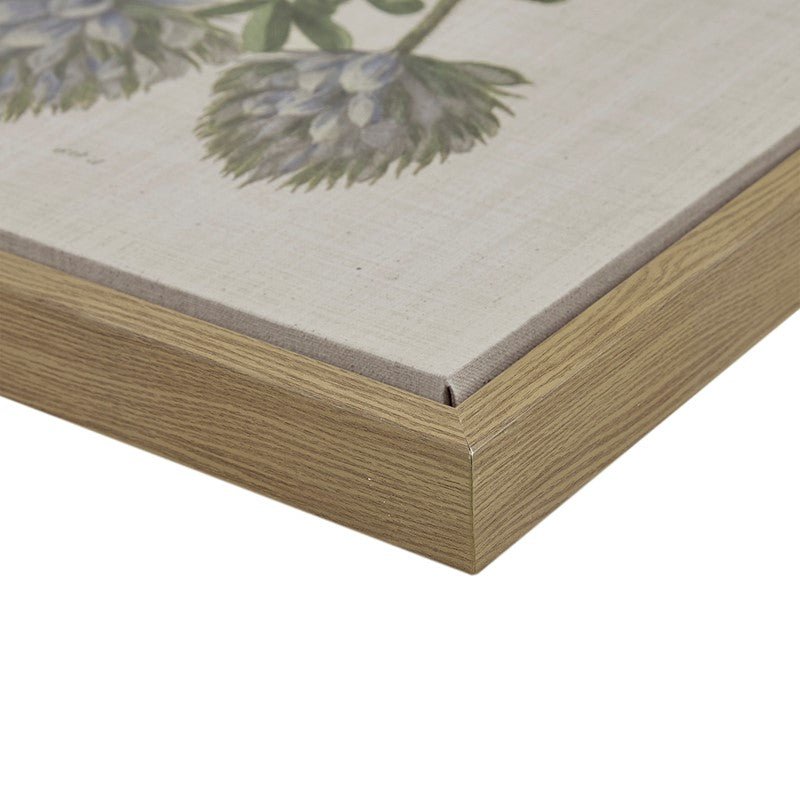 Herbal Botany 4 - piece Botanical Illustration Framed Canvas Wall Art Set - Quahog Bay Bedding