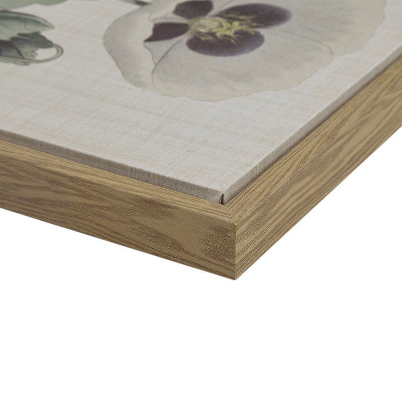 Herbal Botany 4 - piece Botanical Illustration Framed Canvas Wall Art Set - Quahog Bay Bedding