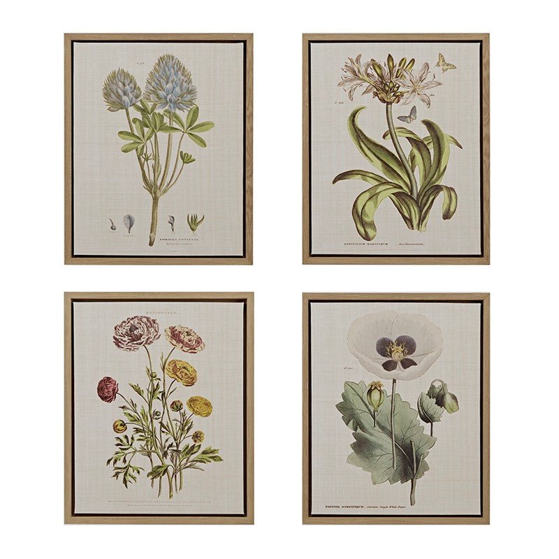 Herbal Botany 4 - piece Botanical Illustration Framed Canvas Wall Art Set - Quahog Bay Bedding