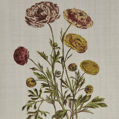 Herbal Botany 4 - piece Botanical Illustration Framed Canvas Wall Art Set - Quahog Bay Bedding