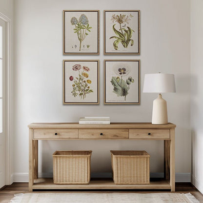 Herbal Botany 4 - piece Botanical Illustration Framed Canvas Wall Art Set - Quahog Bay Bedding
