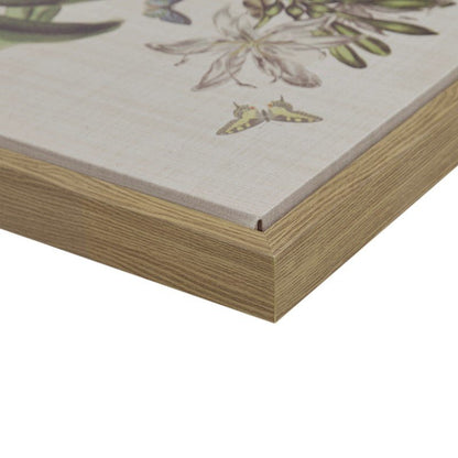 Herbal Botany 4 - piece Botanical Illustration Framed Canvas Wall Art Set - Quahog Bay Bedding