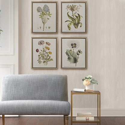 Herbal Botany 4 - piece Botanical Illustration Framed Canvas Wall Art Set - Quahog Bay Bedding