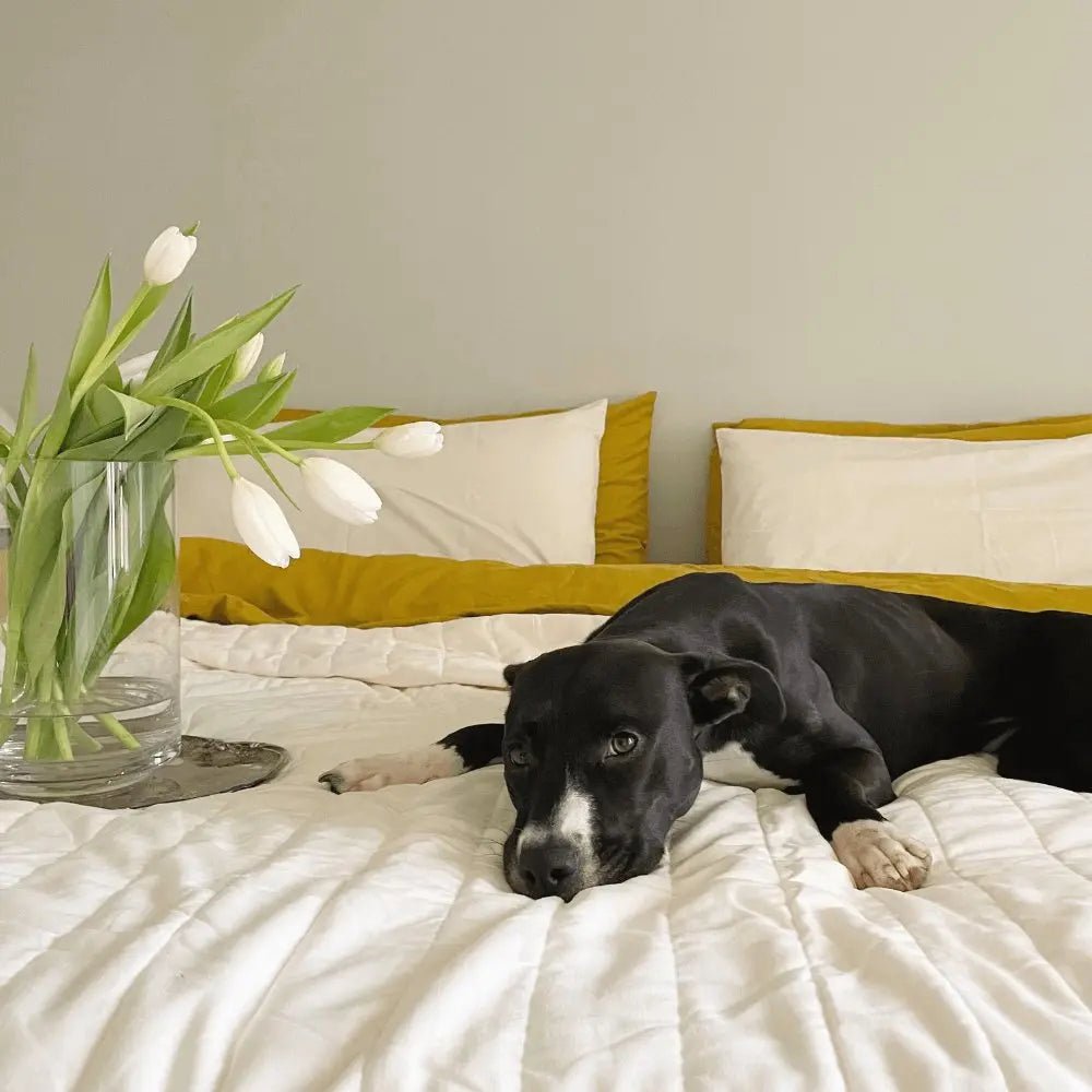 Linen+ Bamboo Quilted Coverlet - Quahog Bay Bedding