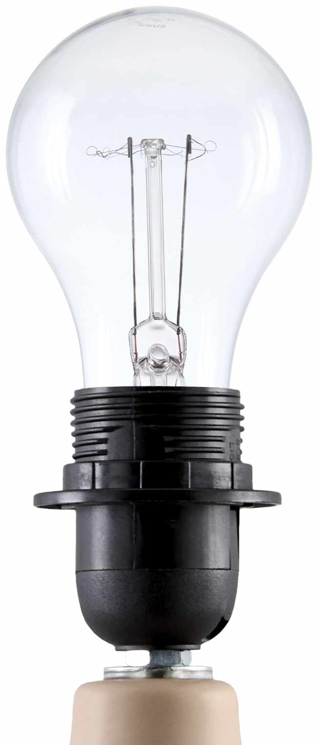 Lumellogno Coral Table Lamp - Quahog Bay Bedding