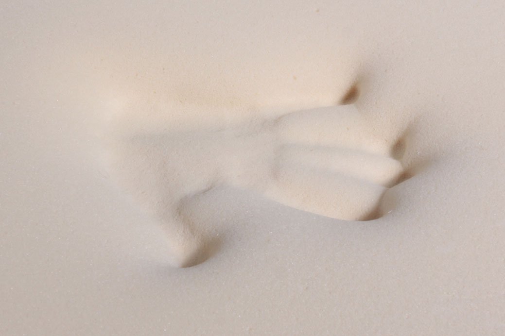 Memory Foam Mattress Topper - Quahog Bay Bedding