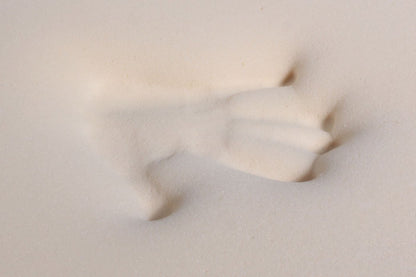 Memory Foam Mattress Topper - Quahog Bay Bedding