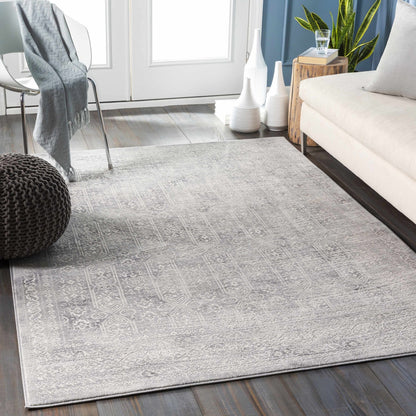 Michie Gray Area Rug - Medium Pile - Traditional Style Rugs - Quahog Bay Bedding