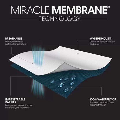 AllerZip Zippered King Pillow Protectors