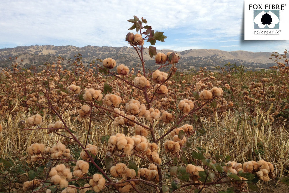 Natural Colored Cotton Duvet Cover Set - American Made With USA Grown Cotton - Quahog Bay Bedding