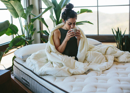 Nest Bedding Washable Wool Comforter - Quahog Bay Bedding