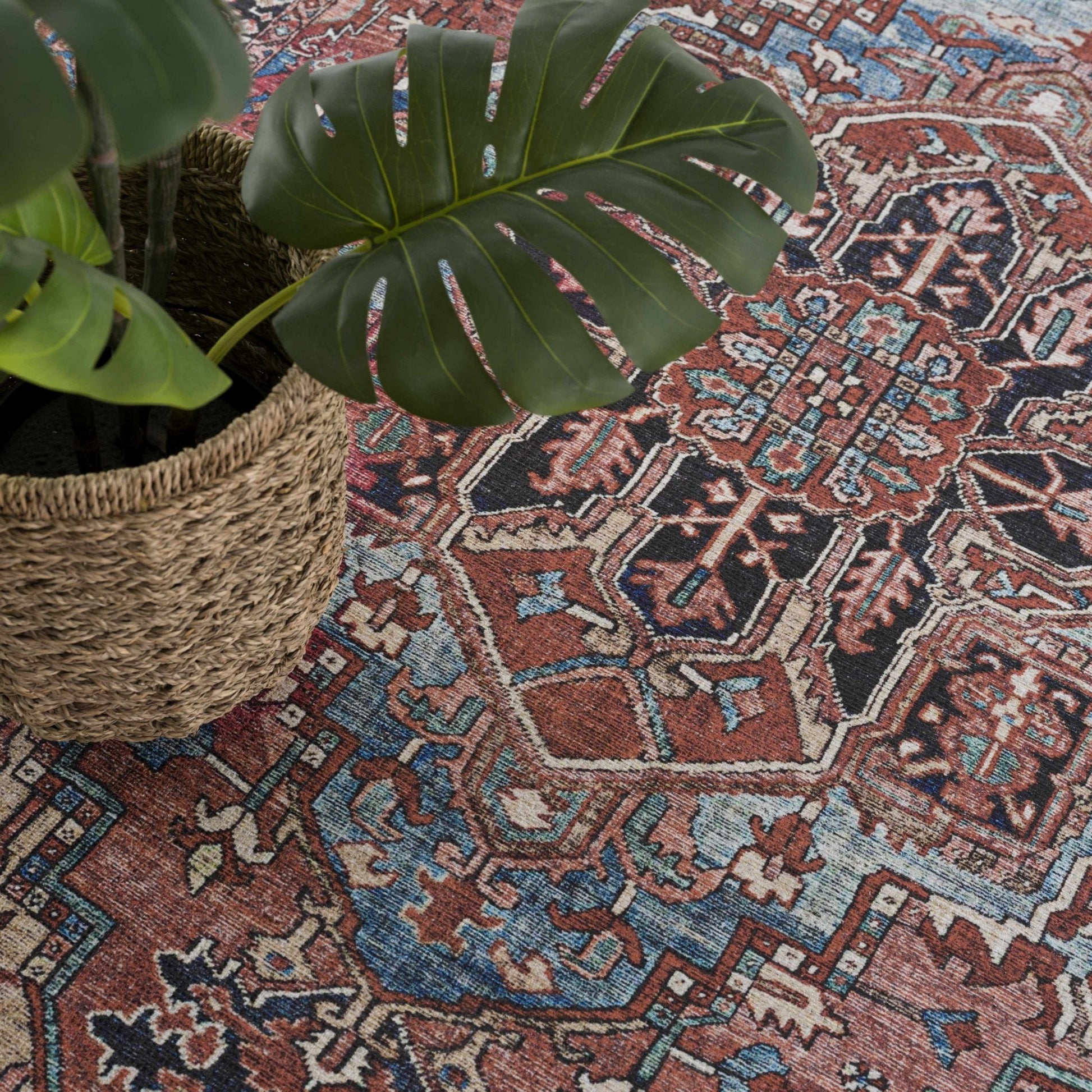 Neyland Washable Area Rug - Quahog Bay Bedding