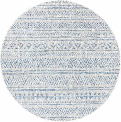 Novato Blue & Light Blue All Over Pattern Performance Rug
