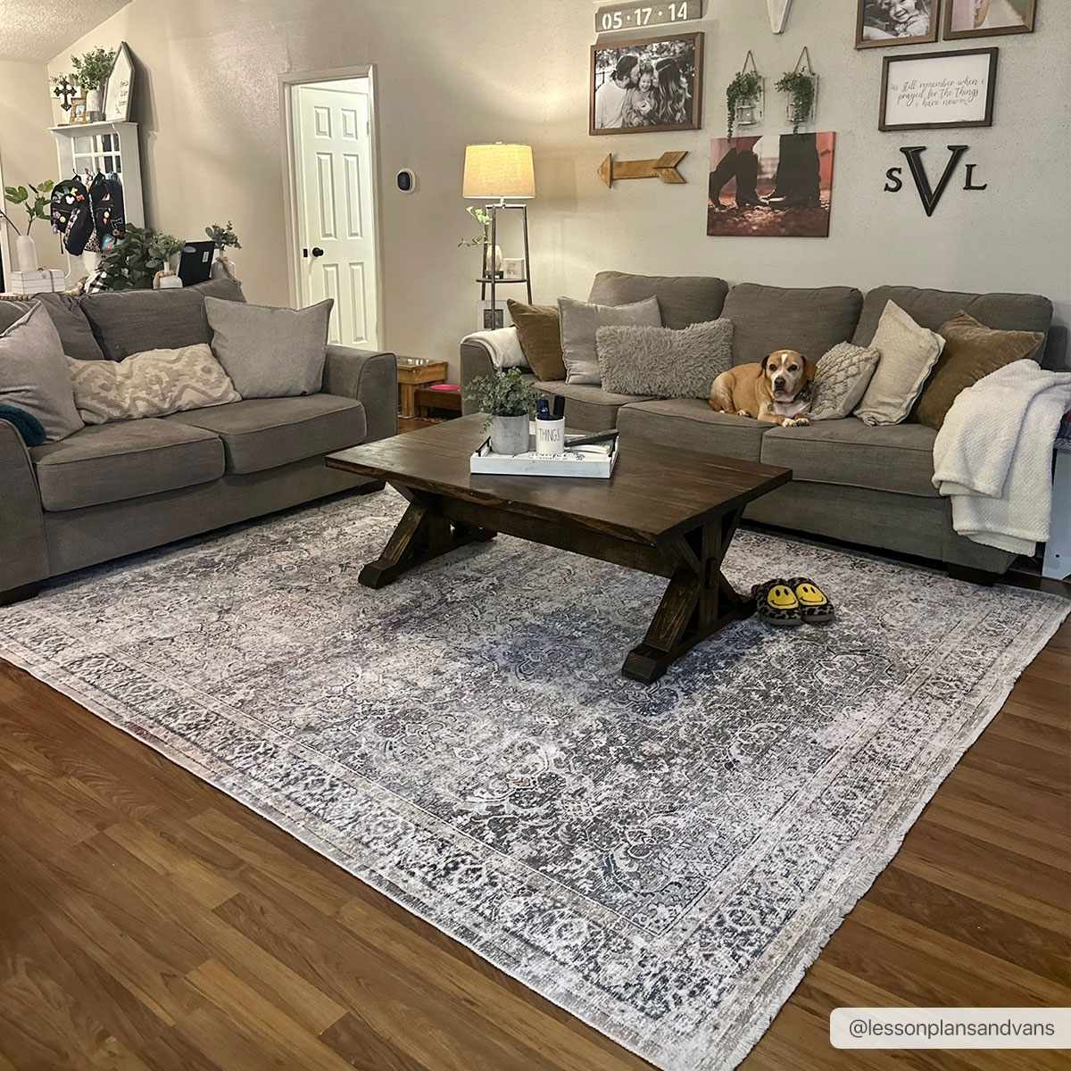 Olive Holi - 2304 Washable Area Rug - Quahog Bay Bedding