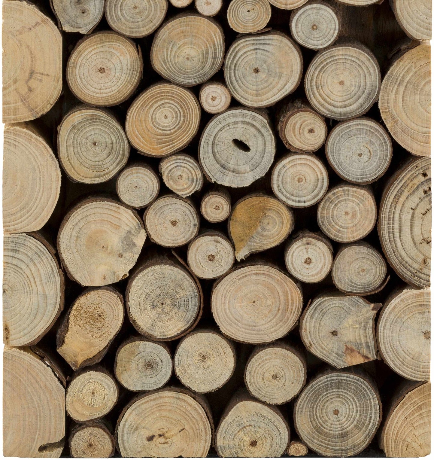 Pendlebury Table Lamp - Quahog Bay Bedding