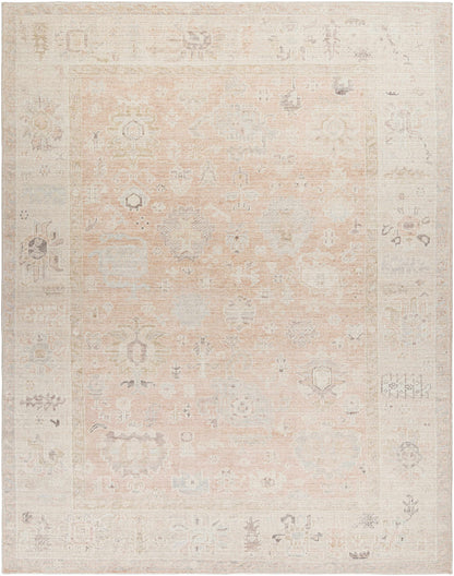 Marlene Damask Blush Area Rug - Becki Owens x Livabliss