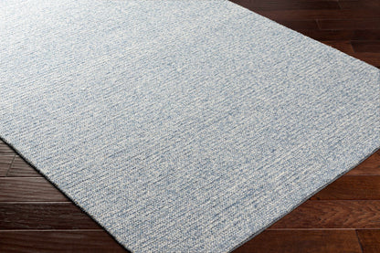 Alyra Light Blue Solid Area Rug - Clearance