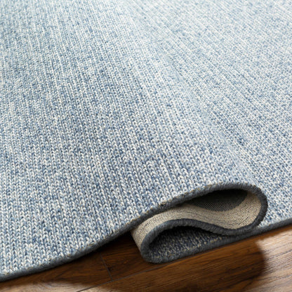 Alyra Light Blue Solid Area Rug - Clearance