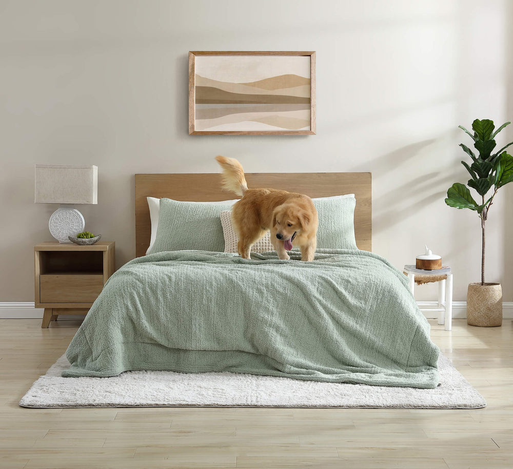 Snug + Bamboo Sham Set - Quahog Bay Bedding