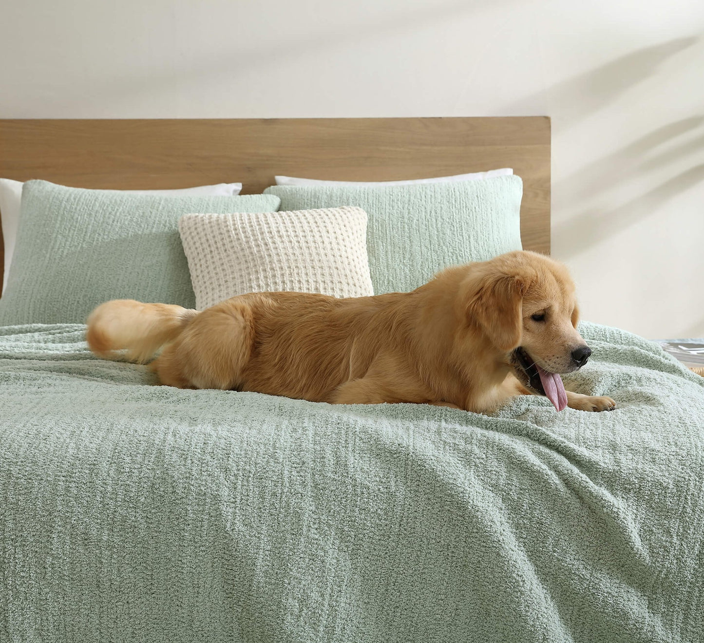 Snug + Bamboo Sham Set - Quahog Bay Bedding