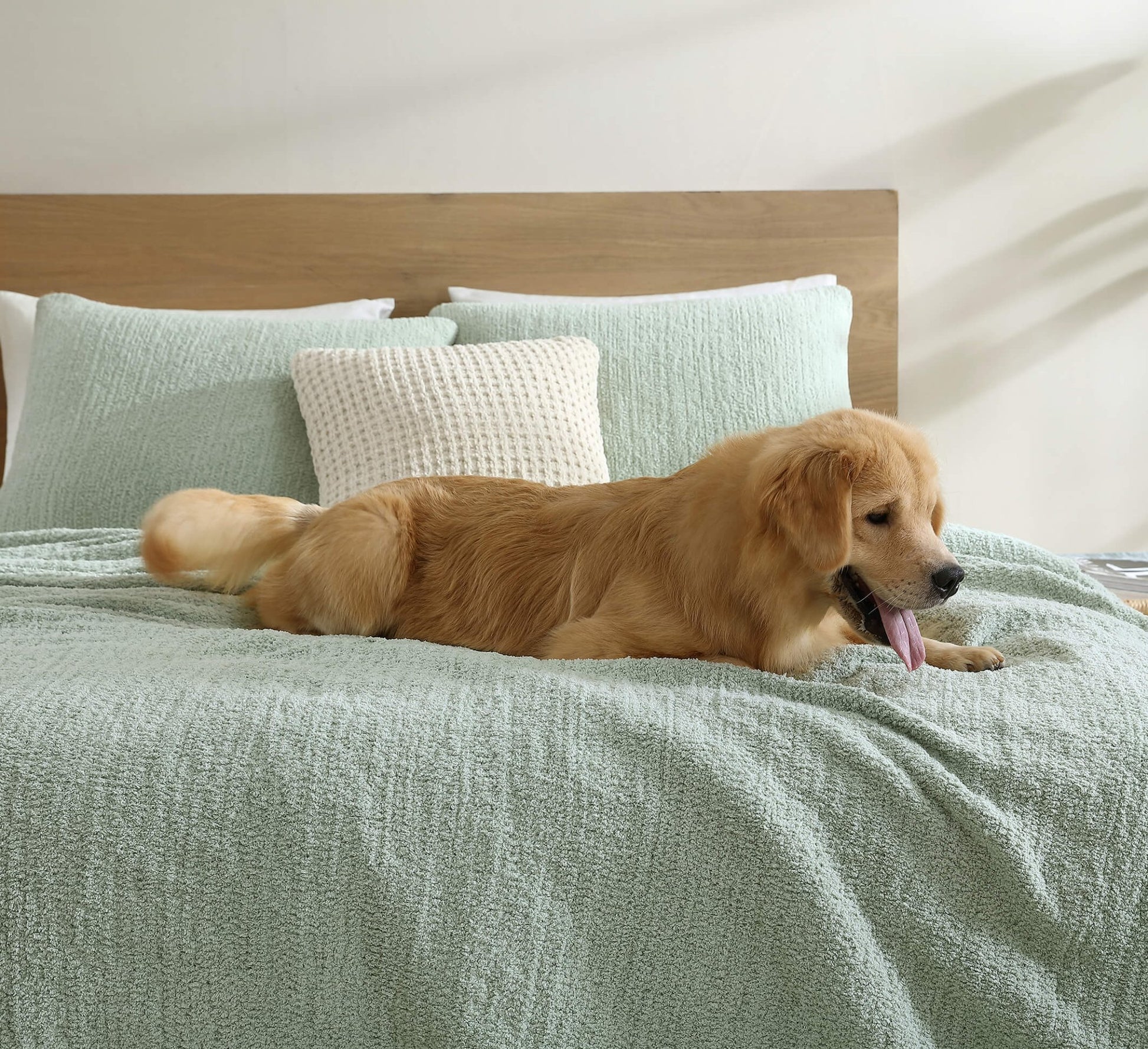 Snug + Bamboo Sham Set - Quahog Bay Bedding
