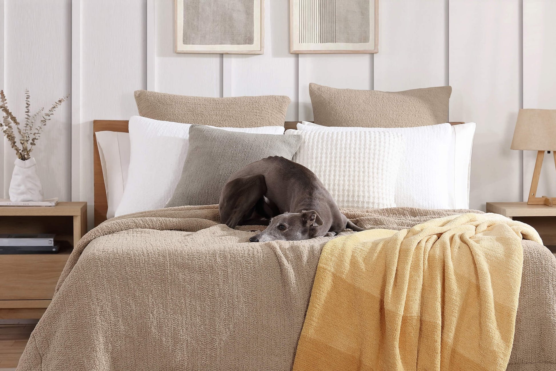 Snug Euro Sham - Quahog Bay Bedding