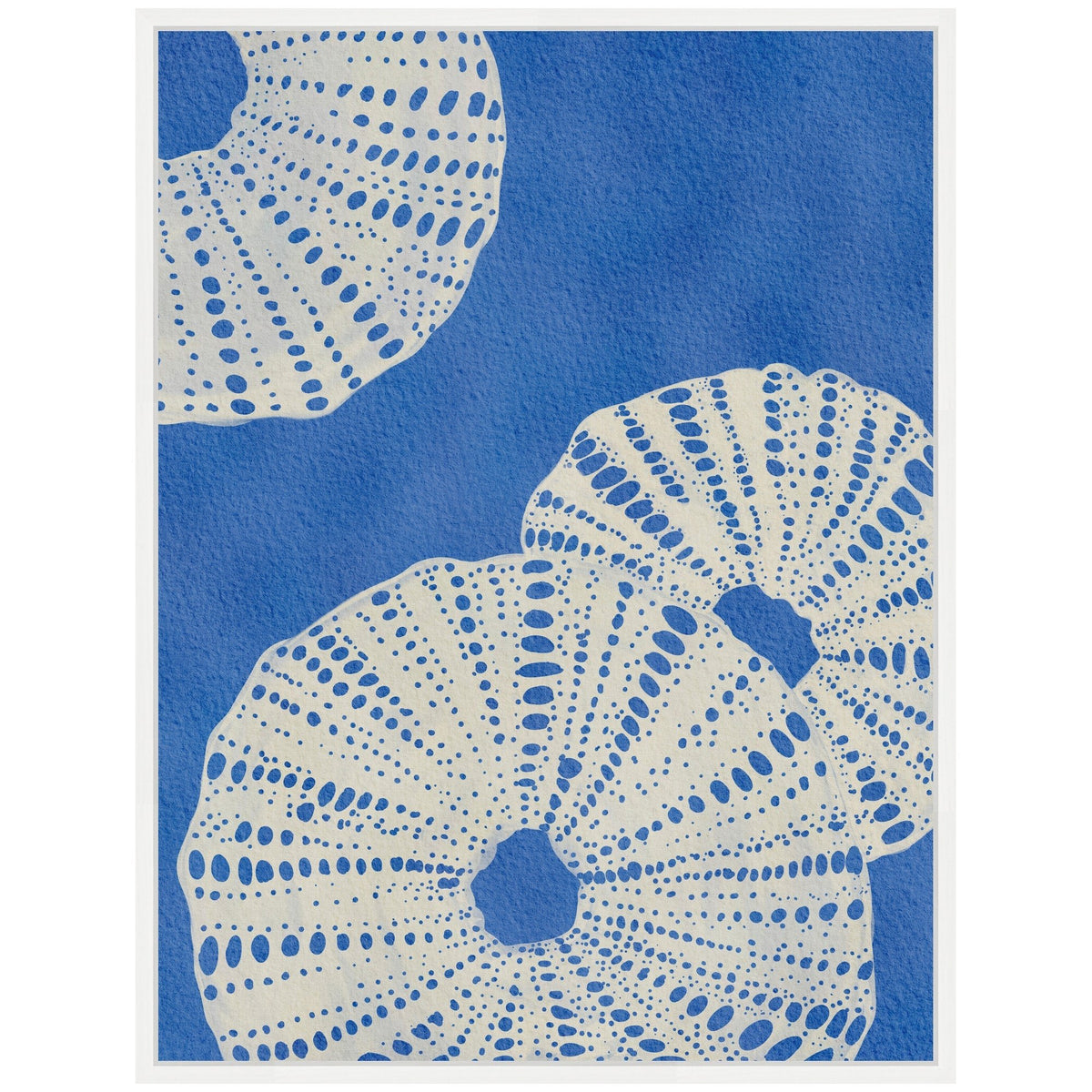 Sylvie Ocean Charms ll Framed Canvas by Nikita Jariwala - Quahog Bay Bedding