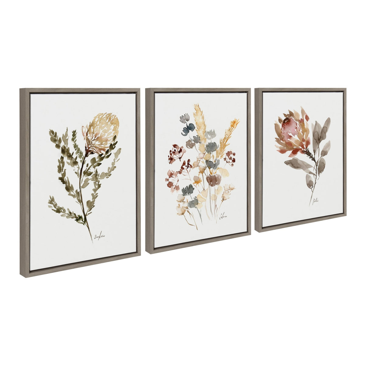 Sylvie Wild Banksia Wild Salvia and Wild King Protea Framed Canvas by Sara Berrenson - Quahog Bay Bedding