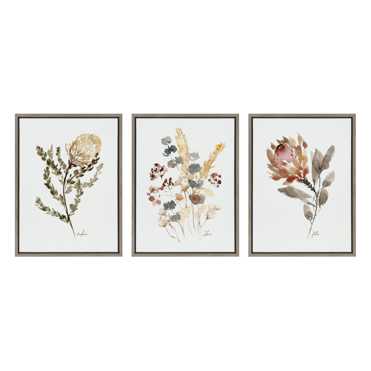 Sylvie Wild Banksia Wild Salvia and Wild King Protea Framed Canvas by Sara Berrenson - Quahog Bay Bedding
