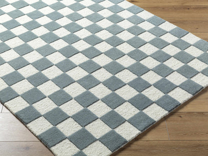 Timin Blue Gray Checkered Area Rug