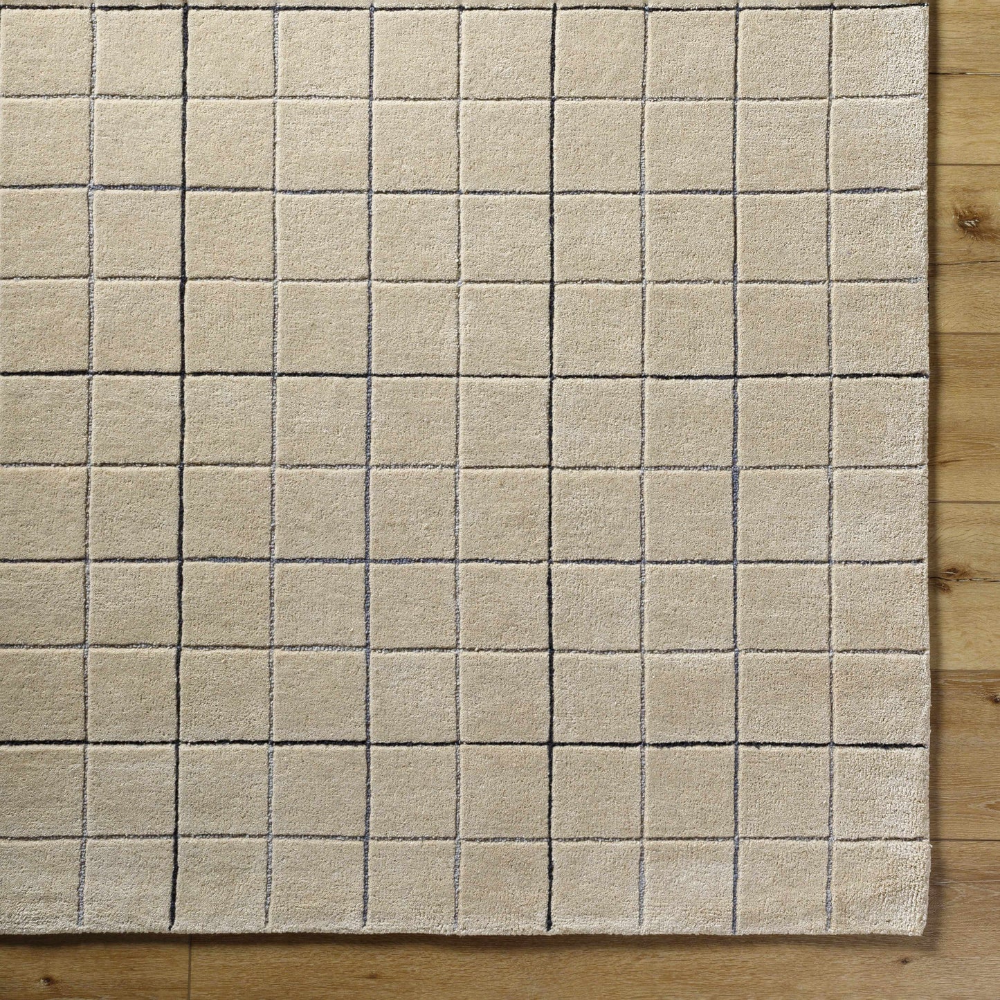 Toshi Beige Area Rug