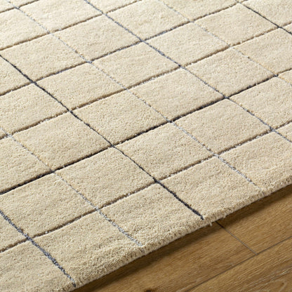 Toshi Beige Area Rug