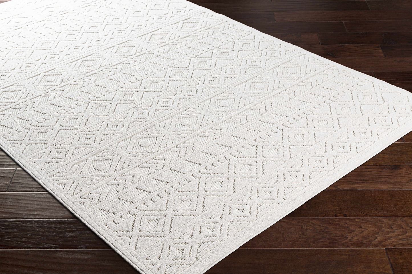 Treuddyn 3D Outdoor Area Rug