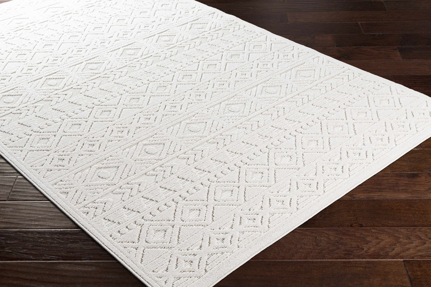 Treuddyn 3D Outdoor Area Rug - Quahog Bay Bedding