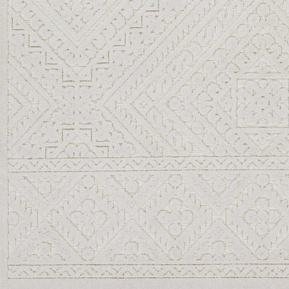 Trigg 3D Outdoor Area Rug