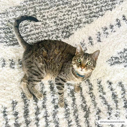 Trunding Plush Charcoal & Cream Area Rug - Plush Pile Rugs - Quahog Bay Bedding